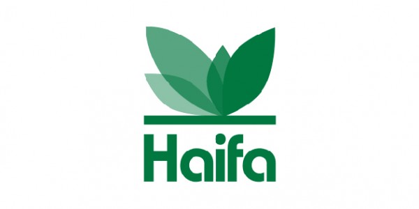 Haifa